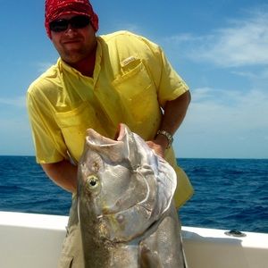 Meet your Posher, Jared